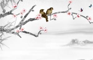 98結(jié)尾的手機(jī)號(hào)碼不好 98尾號(hào)手機(jī)咋樣