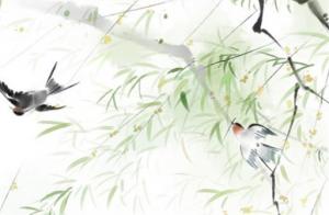手機(jī)號(hào)后四位測(cè)愛(ài)情 數(shù)字9一生一世一雙人