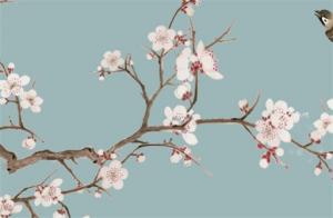 手機尾號7774吉利不 吉祥發(fā)財?shù)臄?shù)組888