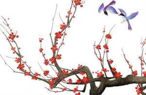 手機(jī)號(hào)碼什么數(shù)字比較好 寓意圓滿吉祥的號(hào)碼