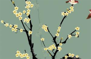手機(jī)號(hào)4445怎么樣 吉祥助財(cái)?shù)氖謾C(jī)號(hào)碼