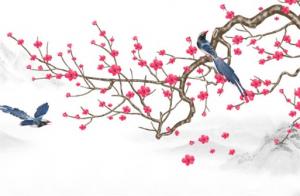 為什么手機(jī)是11位號(hào)碼 五組福氣滿(mǎn)滿(mǎn)的手機(jī)號(hào)推薦