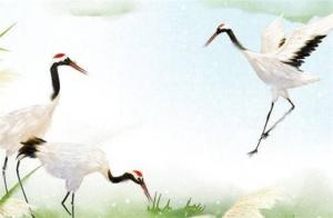 什么數(shù)字代表財(cái)運(yùn) 手機(jī)號(hào)碼6稱(chēng)為財(cái)庫(kù)