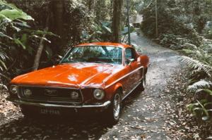 100分的車牌號(hào)碼大全4位數(shù) 四位數(shù)的吉祥號(hào)碼有哪些呢
