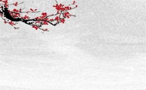 生肖兔手機(jī)尾號(hào)幸運(yùn)數(shù)字 吉祥旺運(yùn)手機(jī)磁場(chǎng)號(hào)碼