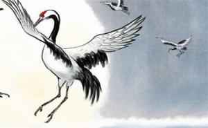 運(yùn)勢(shì)好的手機(jī)號(hào)碼 招財(cái)手機(jī)號(hào)碼組合