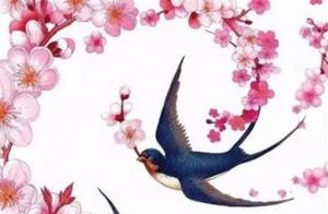 手機(jī)號吉兇選號 女人順風(fēng)順?biāo)终胸?cái)手機(jī)數(shù)字