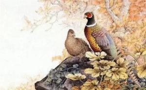 手機(jī)號(hào)碼數(shù)字代表什么 旺財(cái)添福手機(jī)號(hào)碼