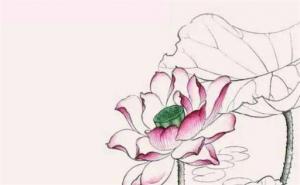 手機(jī)號(hào)碼1一81吉兇表 免費(fèi)測(cè)手機(jī)號(hào)碼吉兇