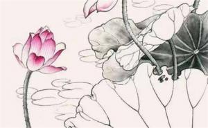 孩子選手機(jī)號(hào)吉利數(shù)字 寓意平安順?biāo)焓謾C(jī)號(hào)碼