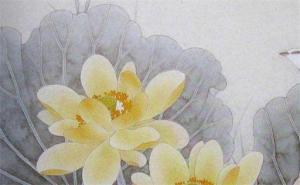 什么數(shù)字的號(hào)碼比較好 好運(yùn)連連的手機(jī)號(hào)碼