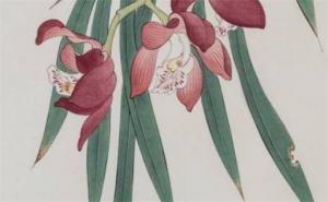 手機(jī)號(hào)數(shù)字22的寓意 走運(yùn)帶財(cái)?shù)氖謾C(jī)尾數(shù)
