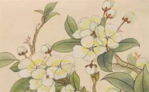 手機(jī)號(hào)數(shù)字222 手機(jī)號(hào)碼333好不好