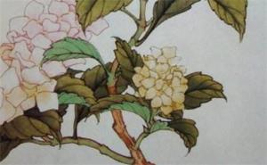 手機號數(shù)字1322 手機號碼7777吉不吉利