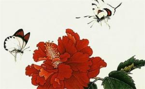 手機(jī)尾號(hào)3131的寓意 事業(yè)亨通順?biāo)斓氖謾C(jī)號(hào)碼