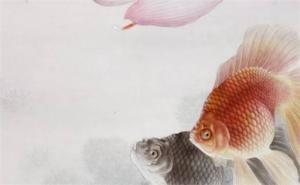 易經(jīng)風(fēng)水?dāng)?shù)字能量學(xué) 易經(jīng)手機(jī)號(hào)碼解析