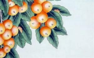 易經(jīng)手機(jī)號(hào)碼數(shù)字能量 易經(jīng)中最吉利的手機(jī)號(hào)