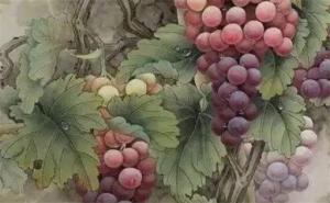 手機(jī)號碼風(fēng)水是真的嗎 哪樣的手機(jī)號旺財
