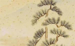 電話號(hào)碼忌諱數(shù)字 風(fēng)水好的手機(jī)號(hào)碼數(shù)字6