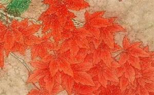 手機號碼怎樣選才是最好的 五行數(shù)理手機號碼大吉100分