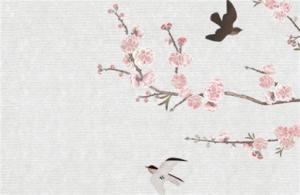 女人帶財(cái)運(yùn)的手機(jī)號(hào)9569的尾號(hào)好嗎  手機(jī)號(hào)幸運(yùn)號(hào)碼查詢