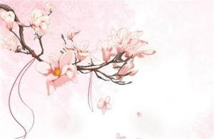 手機(jī)號(hào)土命選什么數(shù)字 土命的人手機(jī)尾號(hào)適合數(shù)字