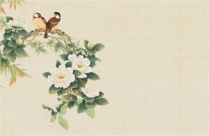 女人如何選手機(jī)號(hào)碼 旺感情旺財(cái)運(yùn)的手機(jī)號(hào)碼