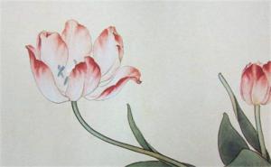電話號后四位吉祥號 手機尾號4848好不好