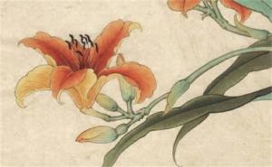 怎么查電話號碼是否吉利 90這個(gè)數(shù)字吉不吉利