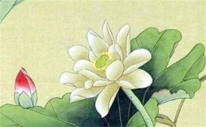 手機(jī)數(shù)字81的吉祥寓意 手機(jī)尾號選擇技巧