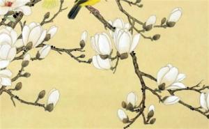 屬龍人手機(jī)號(hào)碼尾號(hào)的吉祥數(shù)字 最旺屬龍人的5個(gè)數(shù)字