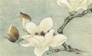 女人手機(jī)號(hào)最旺財(cái)?shù)奈矓?shù) 手機(jī)號(hào)碼能量數(shù)字吉祥號(hào)