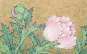 做生意的手機(jī)尾號(hào) 旺財(cái)招運(yùn)手機(jī)號(hào)碼推薦