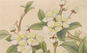 1341尾號(hào)手機(jī)號(hào)能量 134的數(shù)字吉利的說(shuō)法