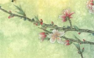 手機(jī)尾號(hào)最吉利的四位數(shù) 帶財(cái)運(yùn)的手機(jī)號(hào)9319分析