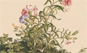 手機(jī)號(hào)吉祥號(hào)碼吉兇 手機(jī)號(hào)最旺財(cái)?shù)奈矓?shù)09