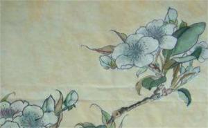 5168手機數(shù)字吉兇 5168尾號好不好