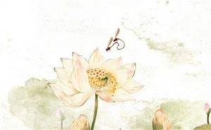 尾號(hào)555的號(hào)碼好不好 號(hào)碼555好還是333好