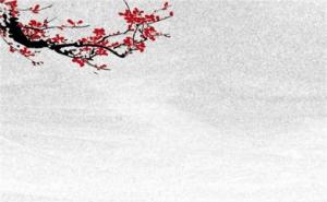手機號碼豹子號的意義 手機號豹子號多少錢一個