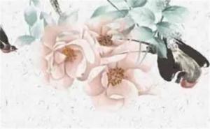 尾號5553怎么樣 手機(jī)號尾號5553寓意