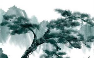 555數(shù)字能量磁場(chǎng) 7555手機(jī)尾號(hào)好不好