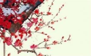 移動(dòng)8888尾號(hào)值多少 手機(jī)號(hào)尾數(shù)8什么寓意