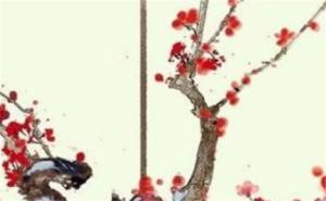 移動(dòng)5555尾號(hào)值多少 數(shù)字能量5555的磁場(chǎng)