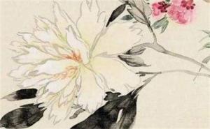 尾數(shù)88888的手機(jī)號碼 手機(jī)號碼8多代表什么