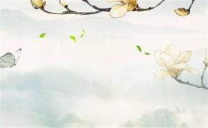 手機(jī)豹子號(hào)333好不好 手機(jī)號(hào)666 777 888哪個(gè)好