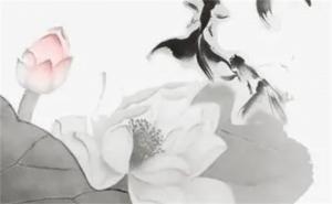 豹子號(hào)5555手機(jī)號(hào)值多少錢 手機(jī)號(hào)1111還是5555好