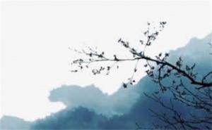 三個(gè)555代表什么意思  號碼555好還是333好