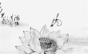 手機(jī)號(hào)5558好嗎 尾號(hào)5588跟9988哪個(gè)好