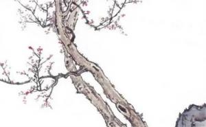 手機(jī)尾號(hào)8886值錢嗎 添運(yùn)旺財(cái)手機(jī)尾數(shù)