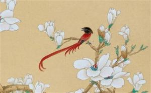 手機(jī)號(hào)碼看一生的運(yùn)氣 帶財(cái)運(yùn)的手機(jī)號(hào)碼